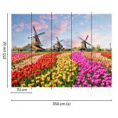 Livingwalls Fototapete Designwalls Zaanse Schans Blumen 