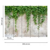 Livingwalls Fototapete Designwalls Climbing Leaves Natur 
