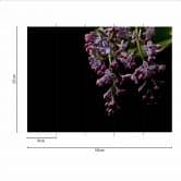 Fototapete Blumen DarkFlowers1 in schwarz lila - Vliestapete Designwalls 2 - 2,55 x 3,5 m 