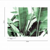 Fototapete Natur PalmFronds2 in grün weiß - Vliestapete Designwalls 2 - 2,55 x 3,5 m 