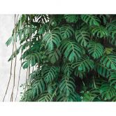 Livingwalls Tapete Monstera Metropolitan Stories THE WALL Vliestapete grün, grau 