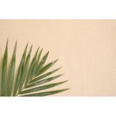 Palmblatt-Fototapete Beige Grün – 3,75 x 2,50 m – Naturmotiv Vliestapete modern 
