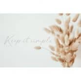 Trockenblumen-Fototapete Beige Weiß – 3,75 x 2,50 m – Vliestapete mit Spruch 