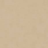 Unitapete mit Putz-Optik Beige - Einfarbige Tapete mit Struktur - Strukturtapete 