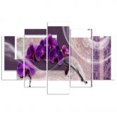 Leinwandbild 5 teilig, Veilchenorchidee 