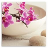 Leinwandbild, Rosa Orchideen Zen Spa 