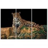 Leinwandbild 3-teilig, Leopard Panther Katze Tier 