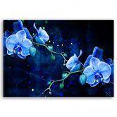 Leinwandbild, Blaue Orchideenblume 
