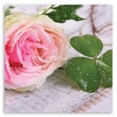 Leinwandbild, Rose Blumen Natur 