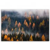 Leinwandbild, Herbstbäume 