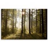 Leinwandbild, Morgen im Wald 
