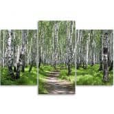 3-delige canvas print, berkenbos natuur 