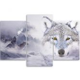 Leinwandbild 3-teilig, Grauer Wolf Nebelwald Berge 