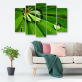 Leinwandbild 5 teilig, Leafy Rosy Tropfen 