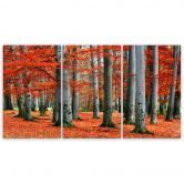 Leinwandbild 3-teilig, Wald Rot Herbst Natur 