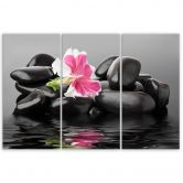 Leinwandbild 3-teilig, Steine Blume Zen Spa 