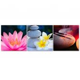 Leinwandbild 3-teilig, Blume Zen Stein 