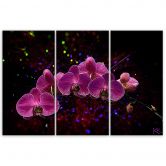 Leinwandbild 3 teilig, Orchidee auf einem dunklen Hintergrund 