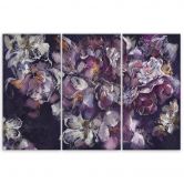 Leinwandbild 3 teilig, Iris Blume 