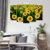 Lærredstryk 5 styk, Sunflowers Meadow 