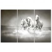 Leinwandbild 3-teilig, Galopp der weißen Pferde 