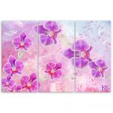 Leinwandbild 3 teilig, Orchideenblüten Abstraktion 