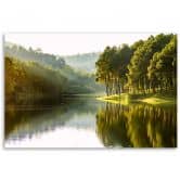 Leinwandbild, Landschaft Waldbaum Natur 