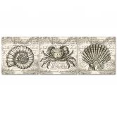 Leinwandbild 3-teilig, Retro-Muscheln 
