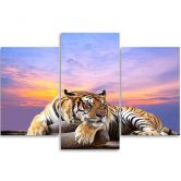 Leinwandbild 3-teilig, Tiger Wild Tiere 