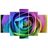 Leinwandbild 5 teilig, Rose Blume Bunt 