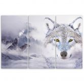 Leinwandbild 3-teilig, Wolf Wald Nebel Natur Grau 