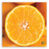 Leinwandbild, Obst Orange Makro 