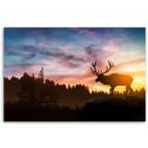 Canvas schilderij, hert bij zonsondergang 