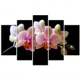 Leinwandbild 5 teilig, Rosa Orchidee 