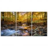 Leinwandbild 3-teilig, Wald Herbst Bach Natur 