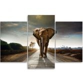 3-delt lærredstryk, Elephant on the Road 