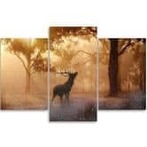 Leinwandbild 3-teilig, Hirsch Wald Sonnenaufgang Natur 