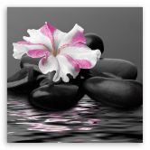 Leinwandbild, Steine ​​rosa Blume Zen 