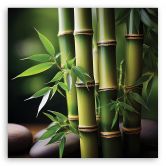 Leinwandbild Orientalischer Zen-Bambus 