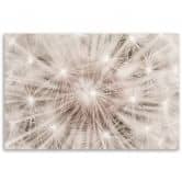 Leinwandbild, Pusteblume Natur Makro 