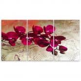 Leinwandbild 3-teilig, Orchidee Blumen Rosa 