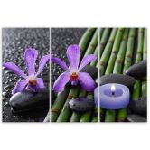 Leinwandbild 3-teilig, Bambus Zen Blume Kerze 