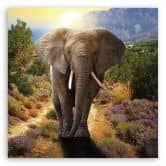 Leinwandbild, Elefant bei Sonnenuntergang 