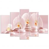 Leinwandbild 5 teilig, Rosa Blume Orchidee 