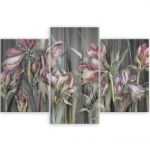 Leinwandbild 3 teilig, Iris Blumen 