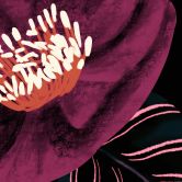 Fototapete Florale Blütenpracht in Purpurtönen | Blumen Tapete - Anis Illustration 