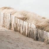 Fototapete Küste - Dünenlandschaft an der Nordsee - Annie 