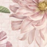 Fototapet med georginer shabby chic pink - Bloomery Decor 
