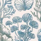 Fototapete Filigrane Algen und Muscheln | Botanische Illustration - casa cartissi 