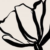 Florale Fototapete Line Art Mohnblume - Cats & Dotz 